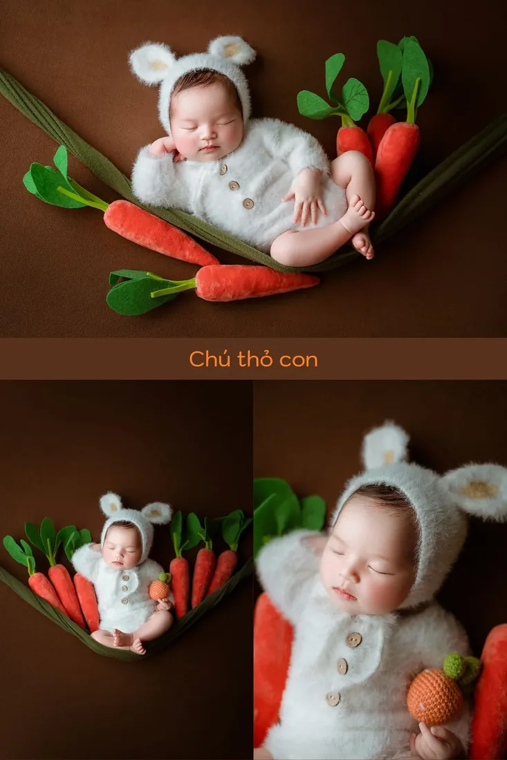 Concept Thỏ dành cho bé